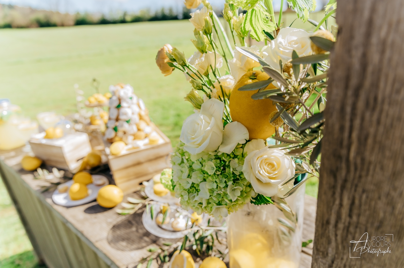 Shooting Inspiration Mariage Gîte de la Cour 02_04_2026 Aurore Aucours Photographe Décoration-100